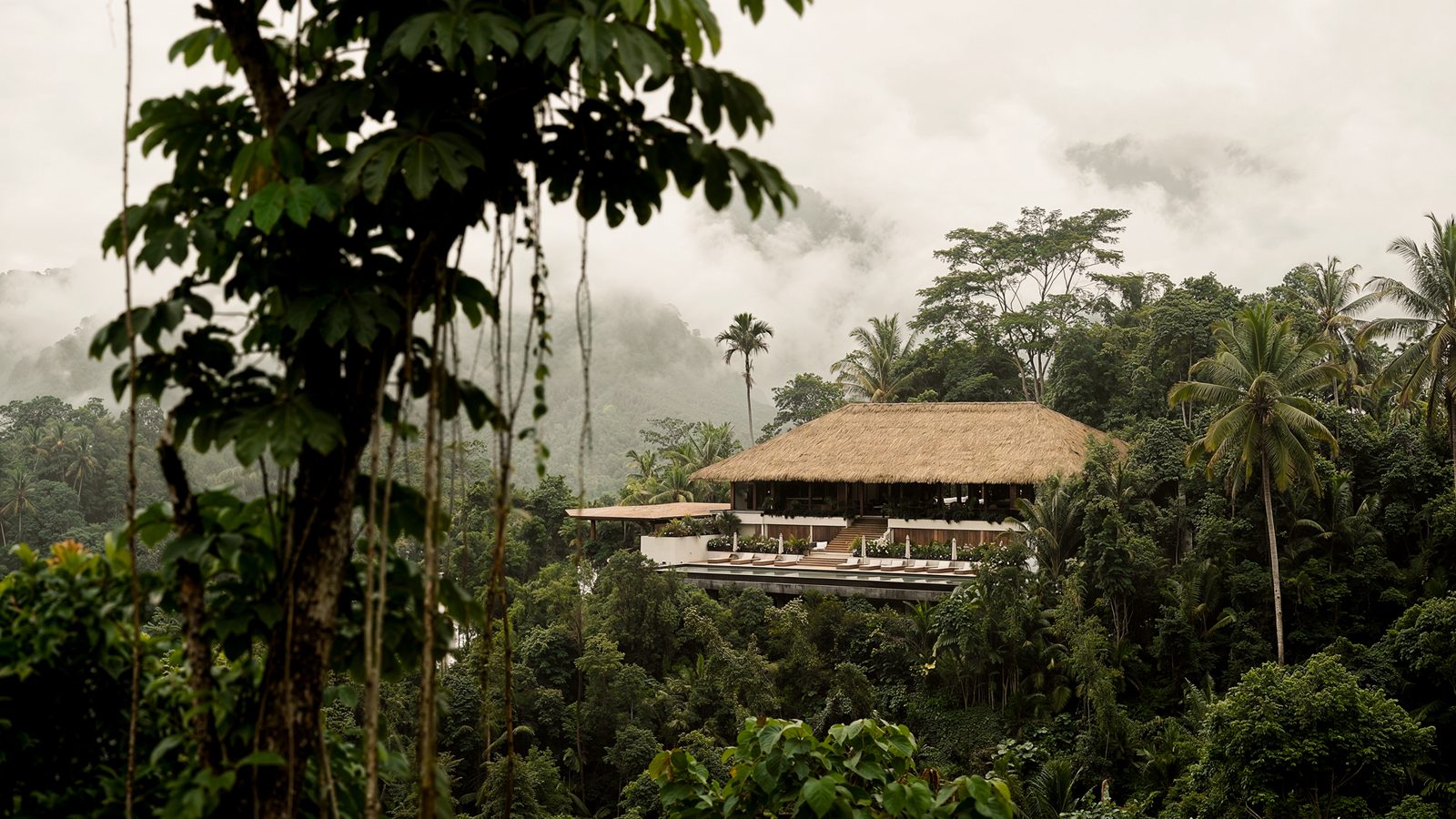 Casa Tuya Ubud, morning light through the jungle